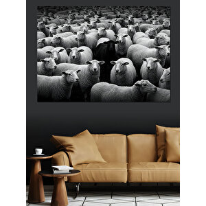 Siyah Beyaz Koyunlar Dekoratif Kanvas - Mdf Ahşap Tablo 100x140 cm