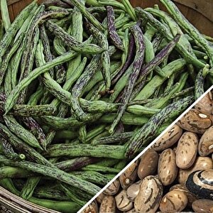 Yerli̇ Çi̇lli̇ Kiz Oturak Fasulye Tohumu 500 Gr