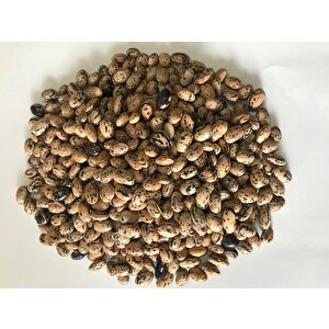 Yerli̇ Çi̇lli̇ Kiz Oturak Fasulye Tohumu 500 Gr