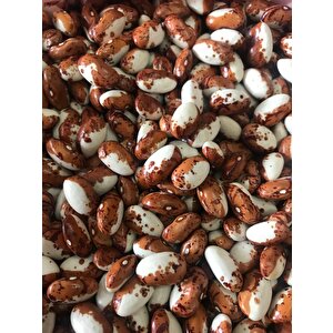 Yerli Ata Tohumu Uzun Enli Sırık Erken Fasulye 25 Gr (kahve Alaca Beyaz)