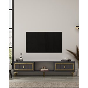 Ori̇onct Tv Sehpasi antrasit-altın Antrasit Gold