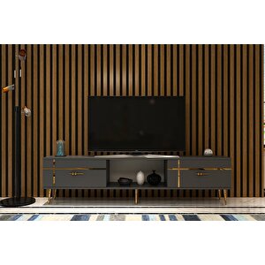 Li̇nect  Tv Sehpasi ANTRASİT-ALTIN Antrasit Gold