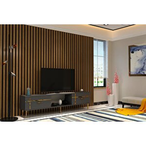 Li̇nect  Tv Sehpasi ANTRASİT-ALTIN Antrasit Gold