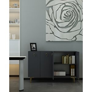 Leylact (km120) Konsol Konsol, Kahve Köşesi, Ayakkabılık, Ofis Evrak Dolabı, Mutfak Kiler Dolabı antrasit-altın