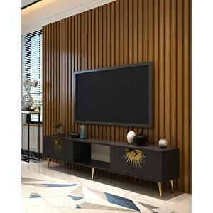 Ni̇dact Tv Sehpasi antrasit-altın Antrasit Gold