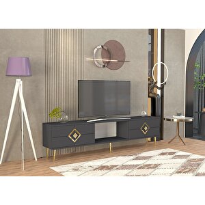 Robberct Tv Sehpasi antrasit-altın Antrasit Gold