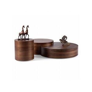 Walnut Orta Sehpa Takımı Ceviz