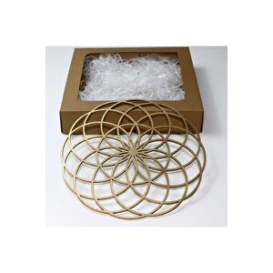 Torus Sembolü 25 Cm