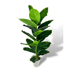 Yapay Çiçek Starliçe 80cm 23 Yapraklı Salon Çiçeği Beyaz Saksılı Yapay Bitki