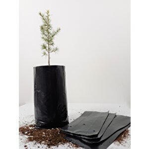 Fide Poşeti 1 Kg 15x35 Cm  Fide Torbası Fidan Poşeti Fidan Torbası