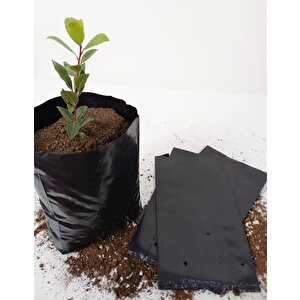 Fidan Poşeti 7 Kg  17x30 Cm Fidan Torbası Fide Poşeti Fide Torbası Fide Fidan Yetiştirme Poşet