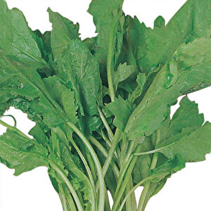 Tere Tohumu Yerli 10 Gram