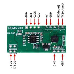 Rdm6300