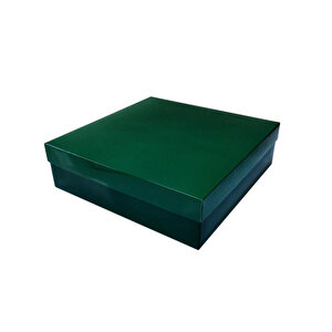 Komple Karton Kutu 30x30x10 Cm (10 Adet)  Yeşil