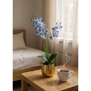 Yapay Çiçek Mavi Islak Orkide Gold Metal Saksıda Saksıda Orkide 50cm
