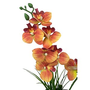Yapay Çiçek Somon Islak Orkide Gold Metal Saksıda Saksıda Orkide 50cm