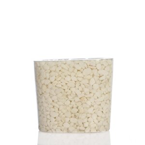 İki Adet Diş Fırçalık Deniz Taşı El Yapımı 400 Gr 10x5x9cm Banyo Seti