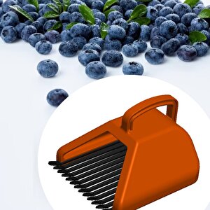 Blue Berry , Aronya , Kuşburnu Ve Meyve  Toplama Tarağı Plastik Bsr Garden