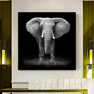 Fil Kanvas Sanatı; Asmaya Hazır Hayvan Tablosu 40x40 cm