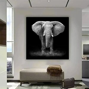 Fil Kanvas Sanatı; Asmaya Hazır Hayvan Tablosu 40x40 cm