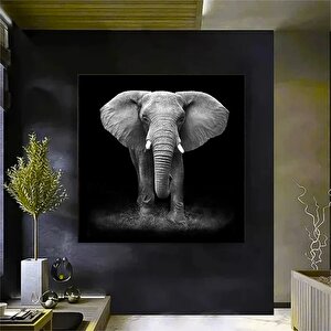 Fil Kanvas Sanatı; Asmaya Hazır Hayvan Tablosu
