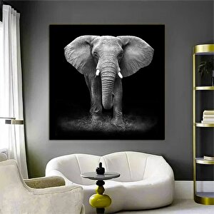 Fil Kanvas Sanatı; Asmaya Hazır Hayvan Tablosu 80x80 cm
