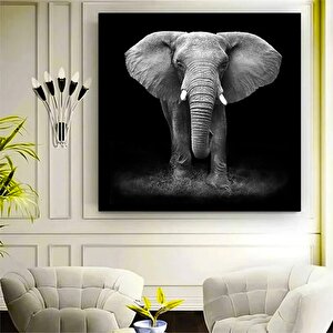 Fil Kanvas Sanatı; Asmaya Hazır Hayvan Tablosu