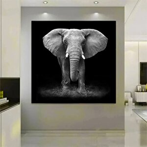 Fil Kanvas Sanatı; Asmaya Hazır Hayvan Tablosu