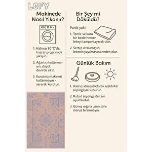 Yıkanabilir Salon Halısı – Lacivert; Bej; Gri – Damask Desen, Makinede Yıkanabilir, Kolay Temizlenebilir, Toz Ve Tüy Tutmaz, Kaymaz, Evcil Hayvan Dostu