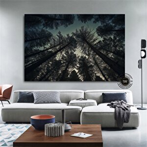 Mavi Gökyüzüyle Ormandaki Çam Ağaçları – Doğa Kanvas Tablosu, Manzara Duvar Dekoru