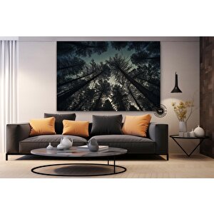 Mavi Gökyüzüyle Ormandaki Çam Ağaçları – Doğa Kanvas Tablosu, Manzara Duvar Dekoru
