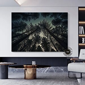 Mavi Gökyüzüyle Ormandaki Çam Ağaçları – Doğa Kanvas Tablosu, Manzara Duvar Dekoru 20x30 cm