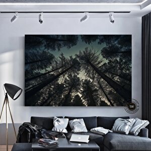 Mavi Gökyüzüyle Ormandaki Çam Ağaçları – Doğa Kanvas Tablosu, Manzara Duvar Dekoru 120x180 cm