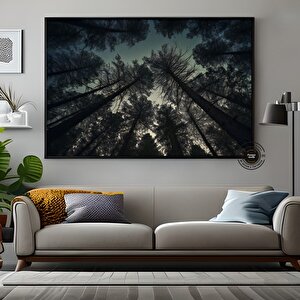 Mavi Gökyüzüyle Ormandaki Çam Ağaçları – Doğa Kanvas Tablosu, Manzara Duvar Dekoru