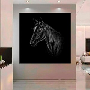 Siyah At Kanvas Duvar Sanatı; At Kanvas Baskısı; Hayvan Kanvas Sanatı; Modern Ev Dekoru; Çiftlik Evi 70x70 cm