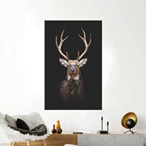 Geyik Fotoğrafçılığı, Trend Kanvas Tablo, Hayvan Duvar Dekoru, Çiftlik Evi Posteri 80x120 cm