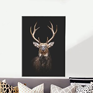 Geyik Fotoğrafçılığı, Trend Kanvas Tablo, Hayvan Duvar Dekoru, Çiftlik Evi Posteri