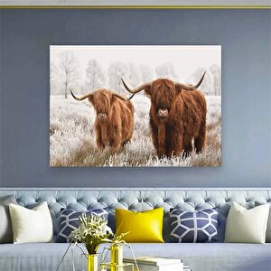 Highland Ineği Kanvas Duvar Sanatı Çiftlik Evi Dekoru Siyah Beyaz Inek Baskısı Rustik Duvar Dekoru H