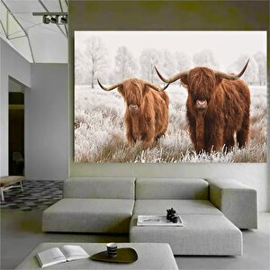 Highland Ineği Kanvas Duvar Sanatı Çiftlik Evi Dekoru Siyah Beyaz Inek Baskısı Rustik Duvar Dekoru H 70x100 cm