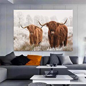 Highland Ineği Kanvas Duvar Sanatı Çiftlik Evi Dekoru Siyah Beyaz Inek Baskısı Rustik Duvar Dekoru H 30x40 cm