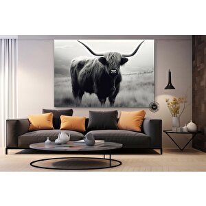 Yüksek Yayla İneği Tablo Baskısı – Rustik Çiftlik Evi Dekoru – Çok Renkli Veya Çerçevesiz Asılmaya Ha