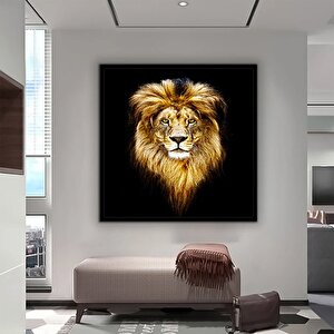 Aslan Duvar Sanatı; Aslan Kanvas Sanatı; Hayvan Duvar Sanatı; Kanvas Duvar Sanatı; Modern Duvar Sana 70x70 cm