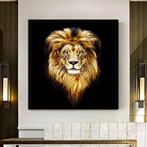 Aslan Duvar Sanatı; Aslan Kanvas Sanatı; Hayvan Duvar Sanatı; Kanvas Duvar Sanatı; Modern Duvar Sana 80x80 cm