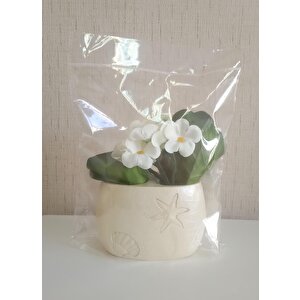 İki Adet Vazo Dahil,vazoda Çiçek,beyaz Yapay Çiçek,vazo Dekoratif İstiridye Poliresin 10x5x14cm