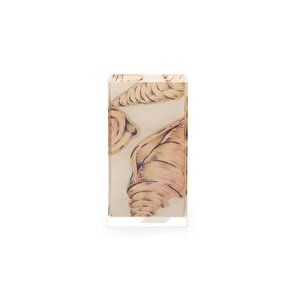 İki Adet Kalemlik İstiridye  Desenli Ofis Gereci 6x6x12cm 300ml