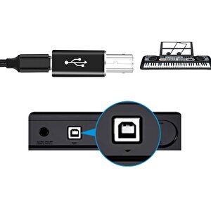 5219 Type C To Usb B Midi Klavye Yazıcı Printer Çevirici Dönüştürücü Adaptör