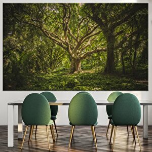 Orman Duvar Sanatı, Doğa Ve Ağaç Temalı Duvar Kanvası 60x120 cm
