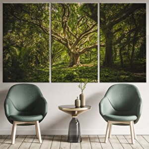 Orman Duvar Sanatı, Doğa Ve Ağaç Temalı Duvar Kanvası 60x120 cm