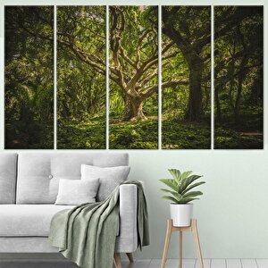 Orman Duvar Sanatı, Doğa Ve Ağaç Temalı Duvar Kanvası
