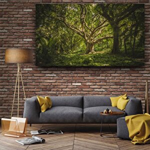 Orman Duvar Sanatı, Doğa Ve Ağaç Temalı Duvar Kanvası